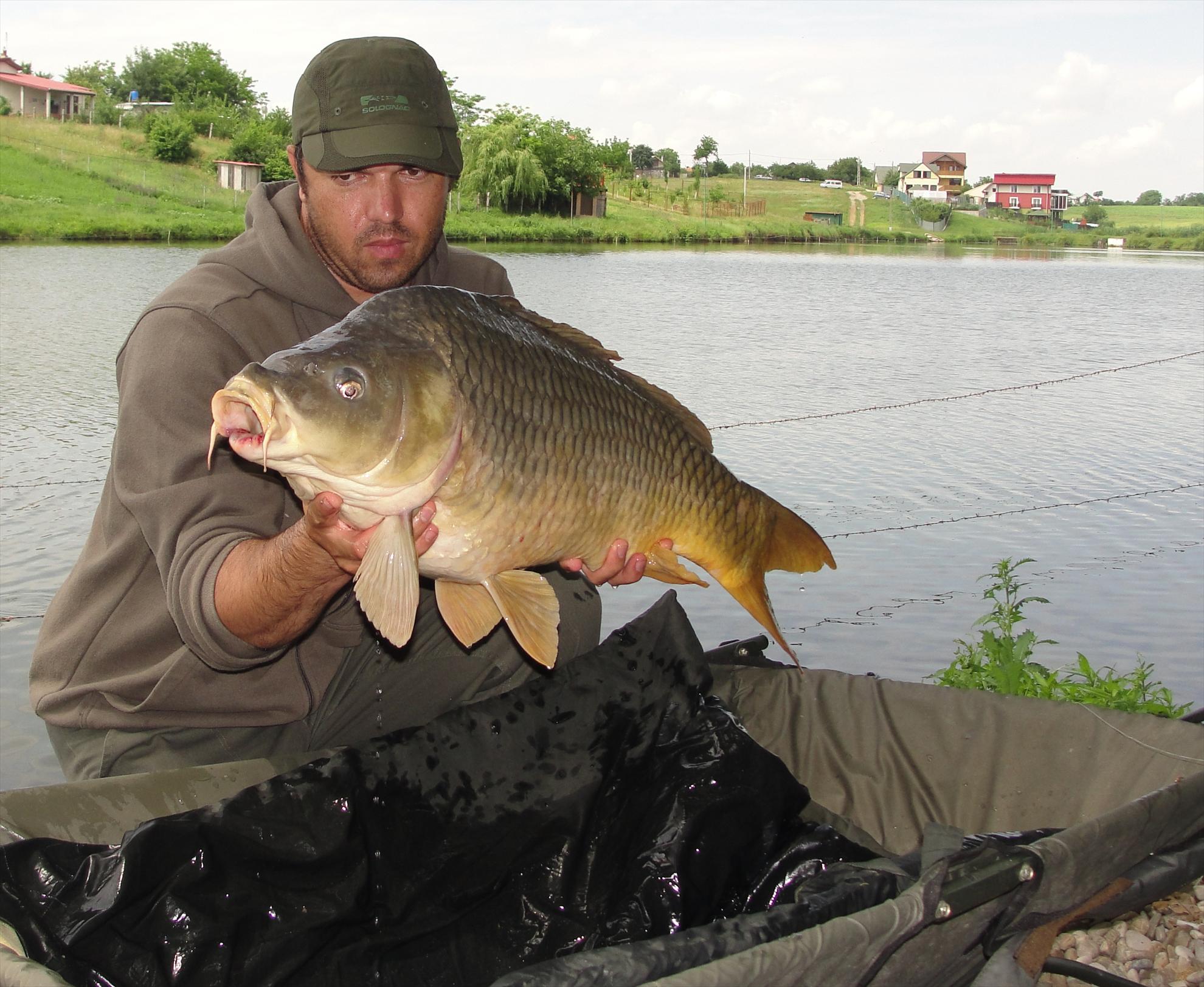 Moara Vlasiei 2 9 - 9 iun. - urmeaza poza